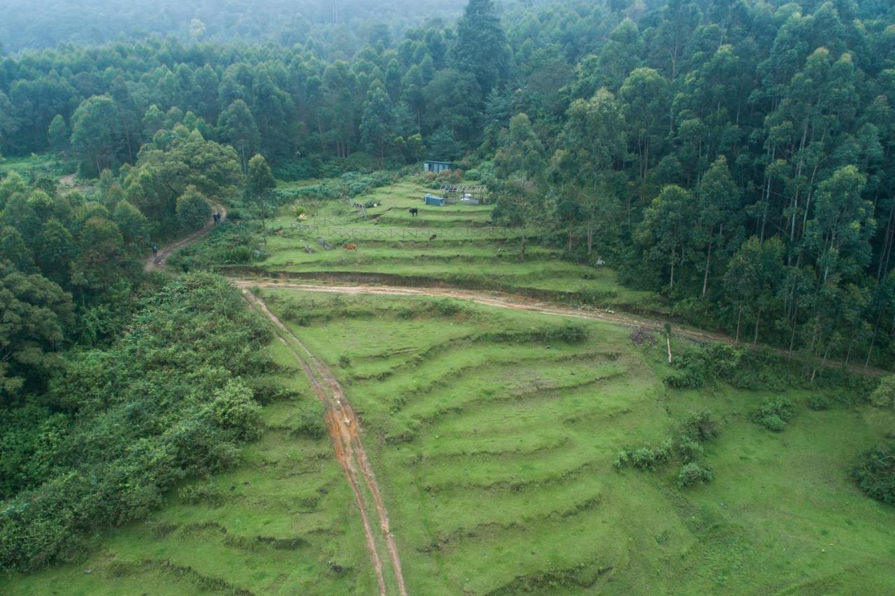 Anandavana Jungle Living By Lexstays - Kanthalloor-Marayur Extérieur photo