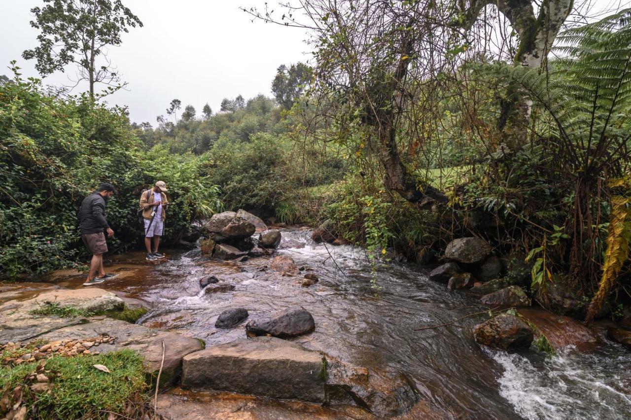 Anandavana Jungle Living By Lexstays - Kanthalloor-Marayur Extérieur photo